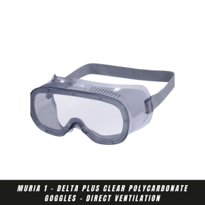 DELTAPLUS MURIA 1 - Safety Googles